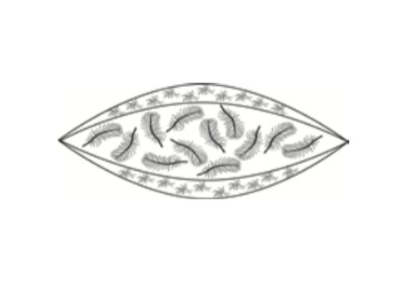 Daunenkissen Soft Deep Querschnitt