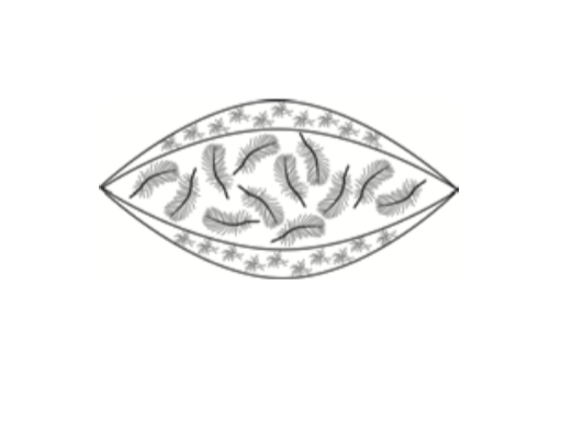 Dreikammer-Kissen Querschnitt