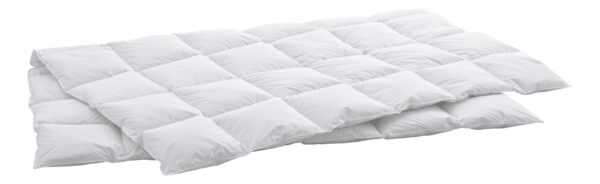 Swiss Dreams Daunendecke von DAUNY aus feinsten Gänsedaunen - im Daunenspiel Onlineshop erhältlich