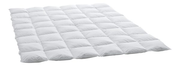 Swiss Dreams Daunendecke von DAUNY aus feinsten Gänsedaunen - im Daunenspiel Onlineshop erhältlich
