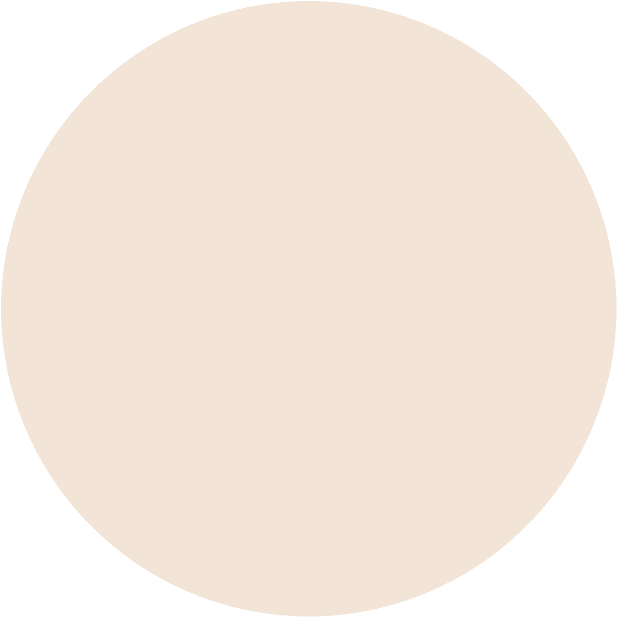 CC 005 CC 005