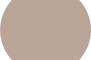 CC 019