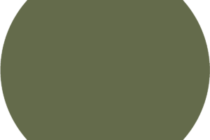 CC 1002