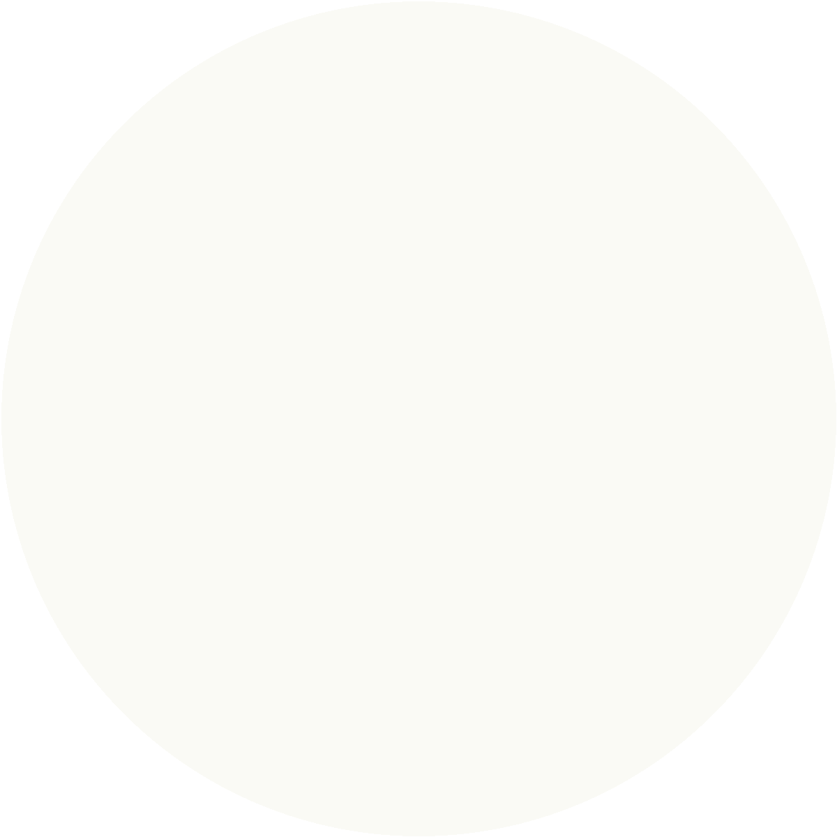 CC 1101 CC 1101