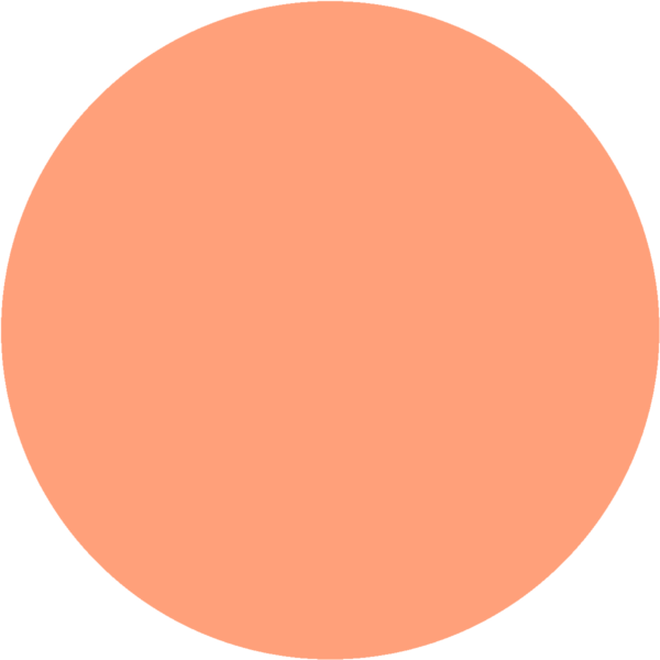 CC 2003