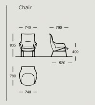 Aloe Chair