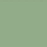 CUOIO VERDE SALVIA C0VK