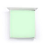 Mint 0524