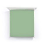 Olive 0533