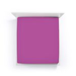 Fuchsia 0540