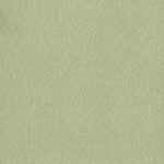 SALBEI Green E9