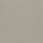 ASH Grey