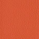 ARANCIO E0A8