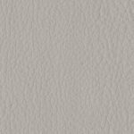 GRIGIO CENERE G0GS