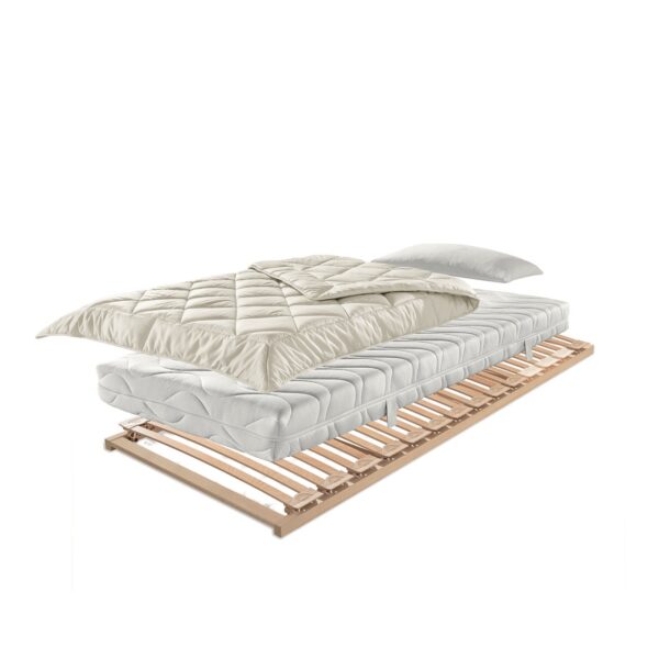 Dormiente Schlafsysteme aus 100% Naturlatex im Daunenspiel Onlineshop